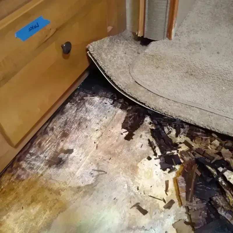 Wood Floor Water Damage in Bolingbrook, IL